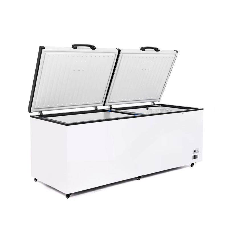 Commercial Chest Freezer - Nuovissimo congelatore a pozzetto commerciale a