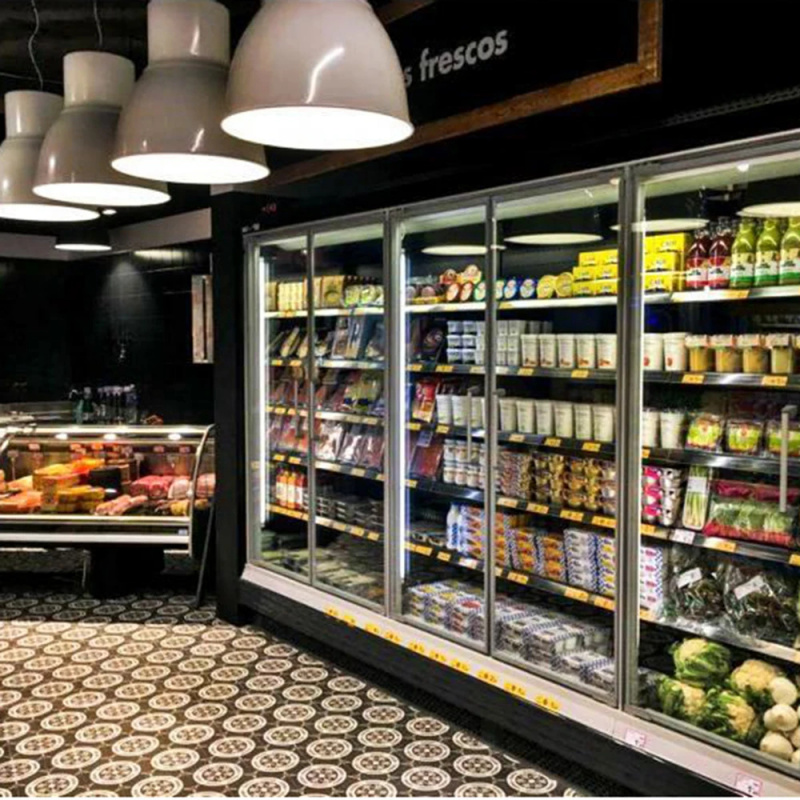 Congelatore verticale a doppia - Commercial Chest Freezer recensione e prezzo