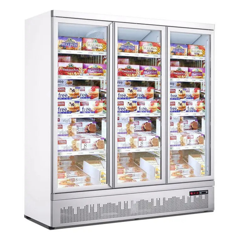 Congelatore verticale a doppia - Commercial Chest Freezer recensione e prezzo